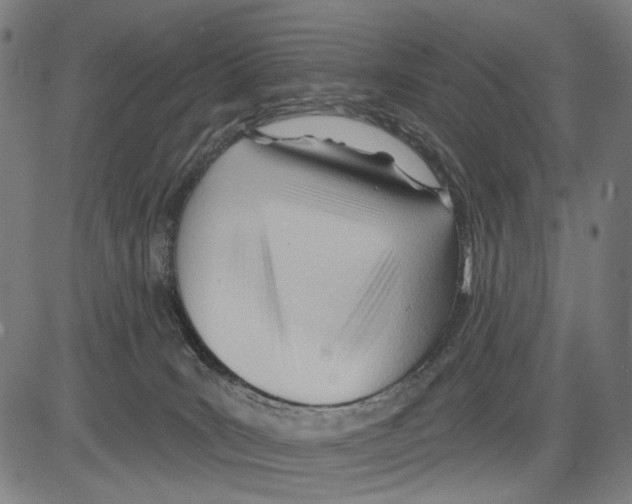 X0000083610035200703121614