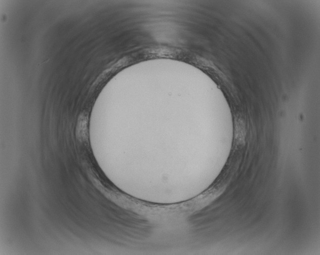 X0000083610036200703121614