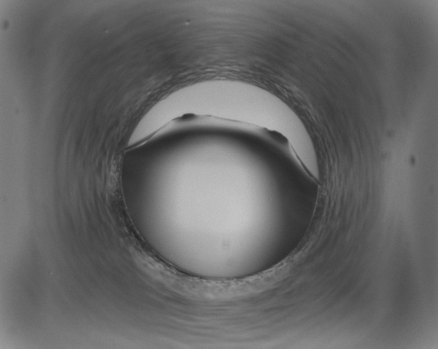 X0000083610037200703121614