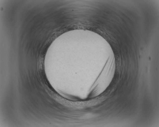 X0000083610038200703121614