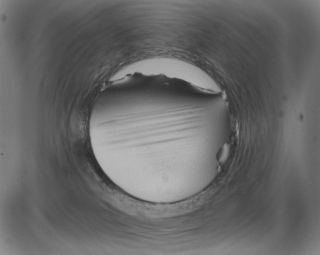 X0000083610039200703121614