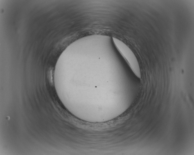 X0000083610042200703121614