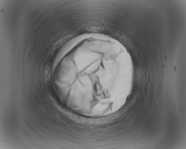 X0000083610043200703121614