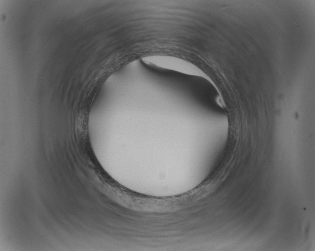 X0000083610044200703121614