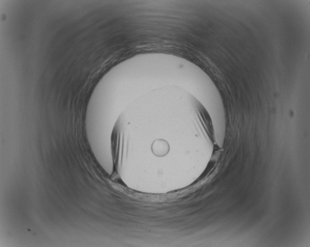 X0000083610045200703121614