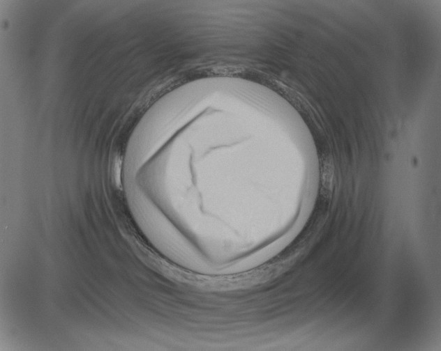 X0000083610046200703121614