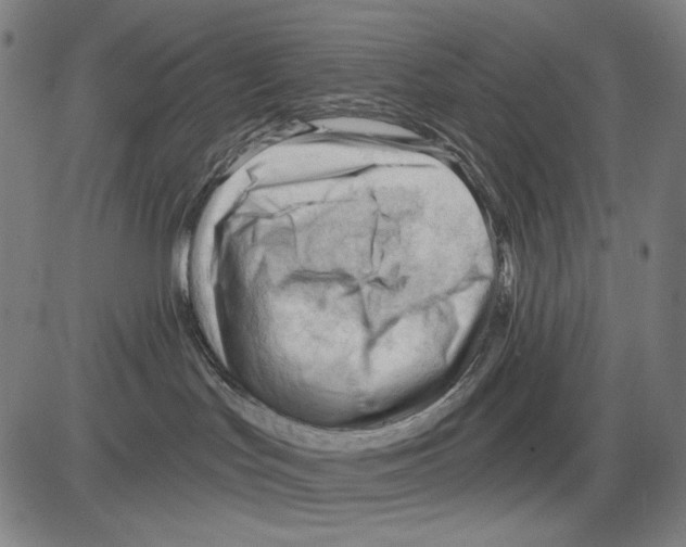 X0000083610047200703121614