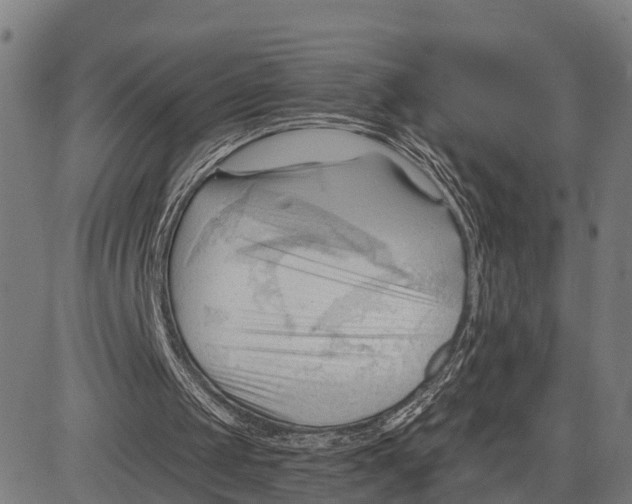 X0000083610049200703121613