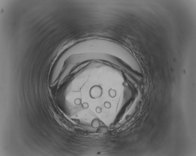 X0000083610050200703121613