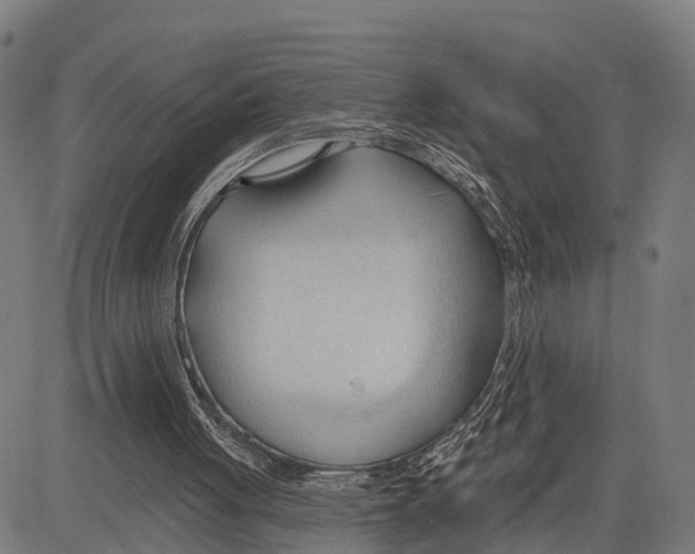 X0000083610051200703121613