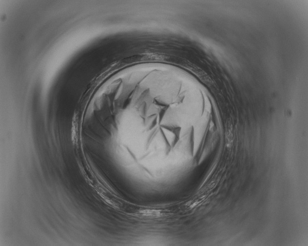 X0000083610052200703121613