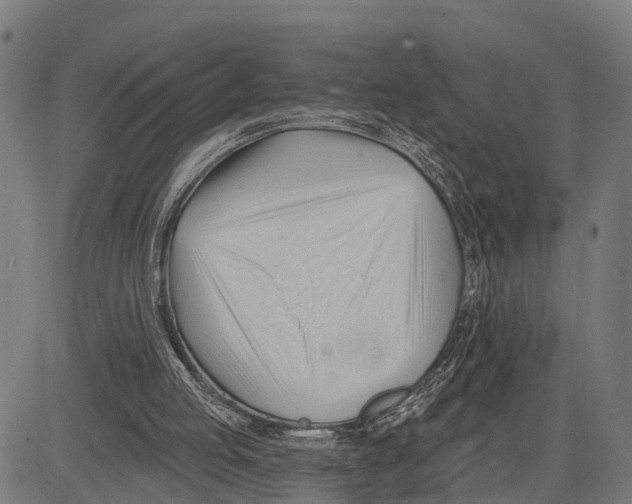 X0000083610053200703121613