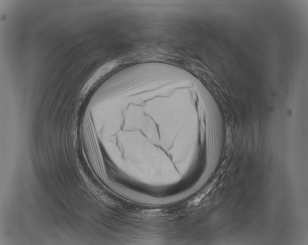 X0000083610054200703121613