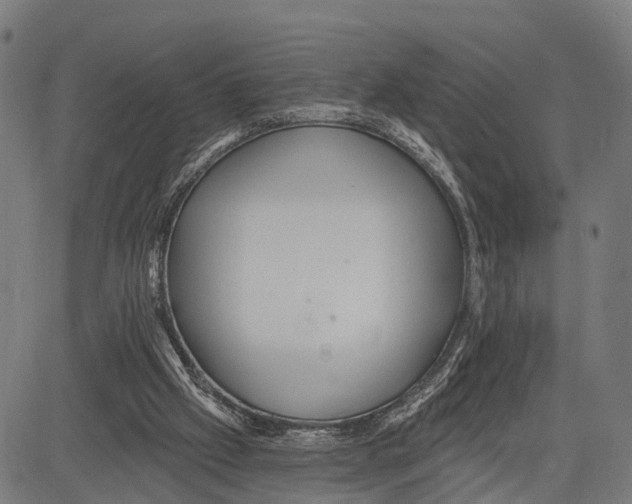 X0000083610057200703121613