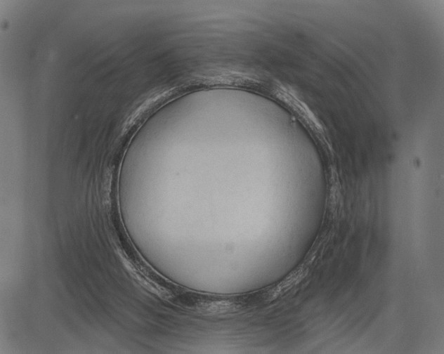 X0000083610058200703121613