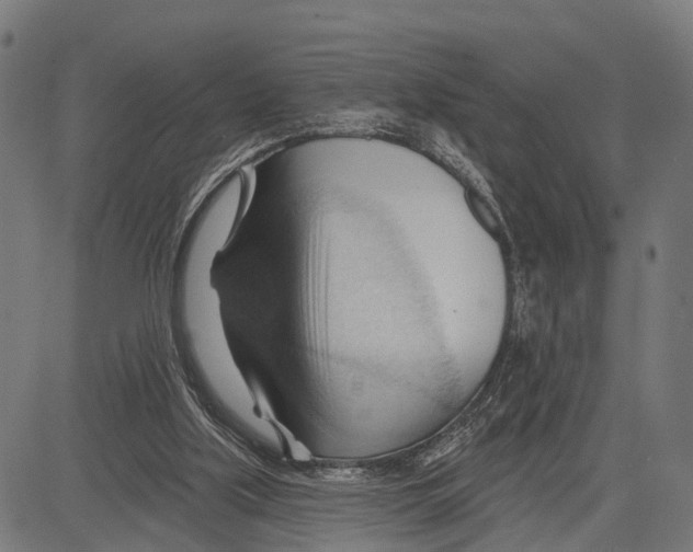 X0000083610059200703121613