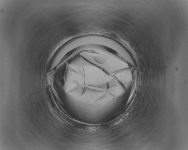 X0000083610060200703121613