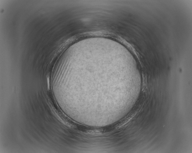 X0000083610061200703121613