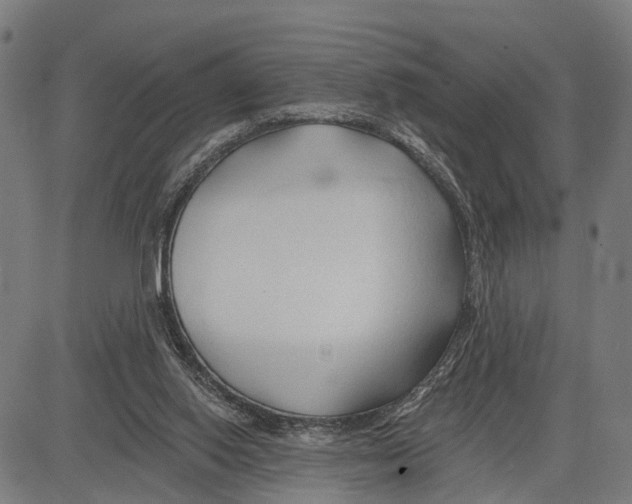 X0000083610062200703121613