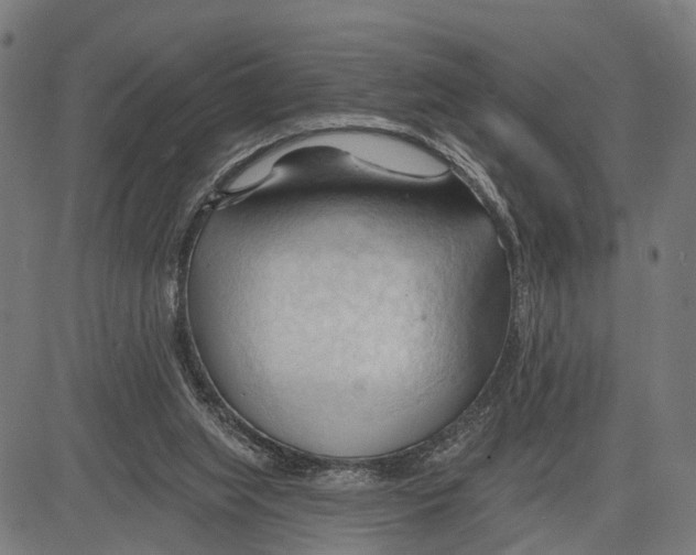 X0000083610063200703121613