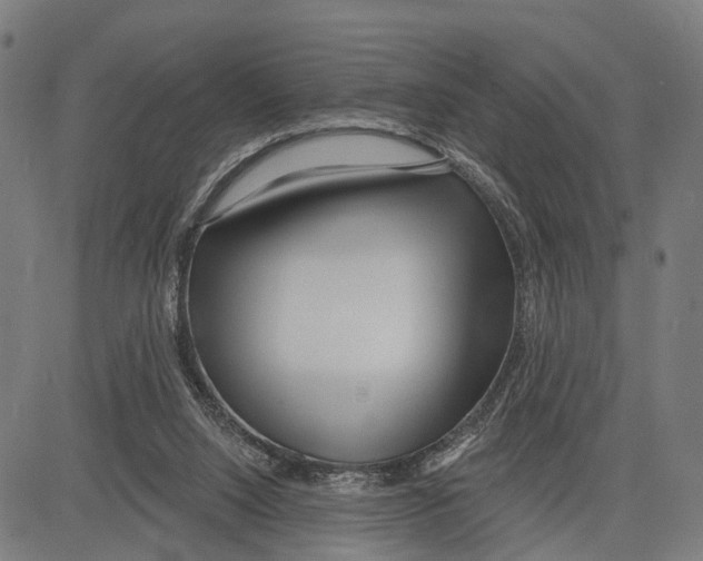 X0000083610064200703121613