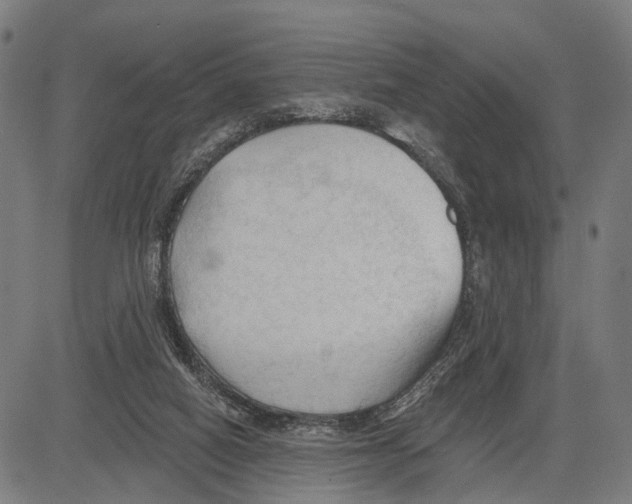 X0000083610066200703121613