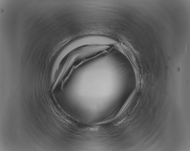 X0000083610068200703121613