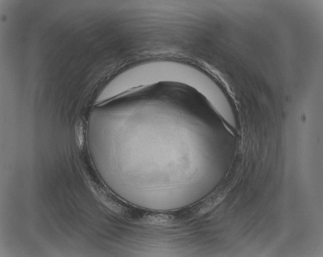 X0000083610069200703121613