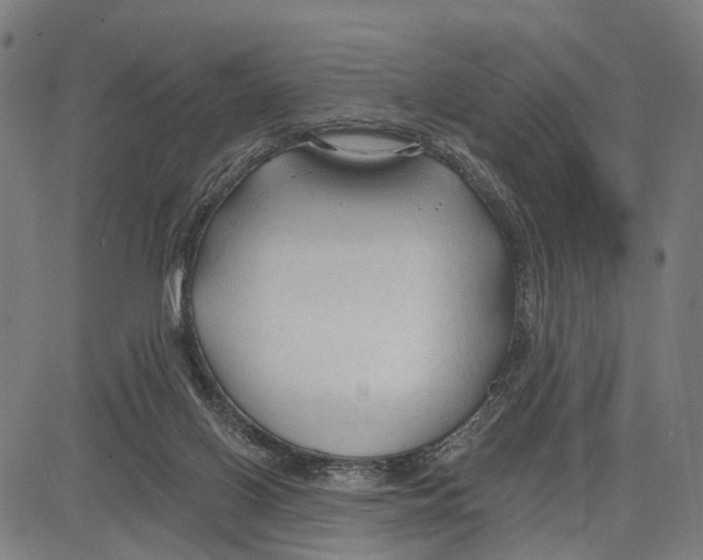 X0000083610070200703121613