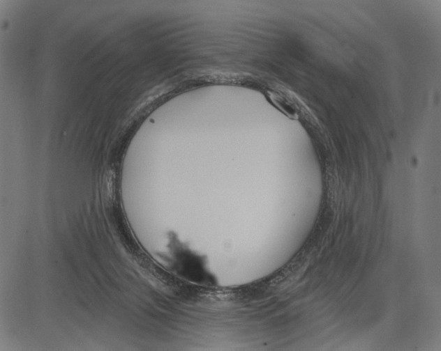 X0000083610071200703121613