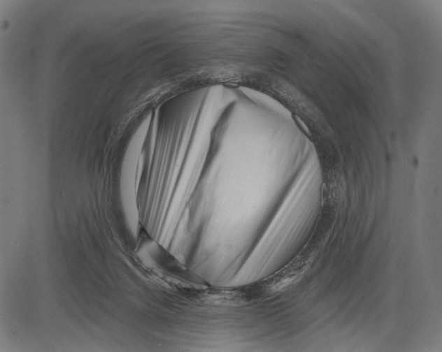 X0000083610072200703121613