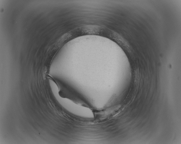 X0000083610073200703121613