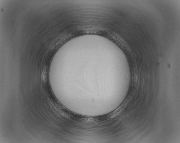 X0000083610074200703121613