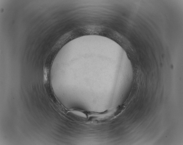 X0000083610075200703121613