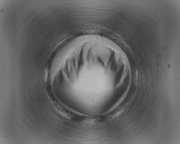 X0000083610076200703121613