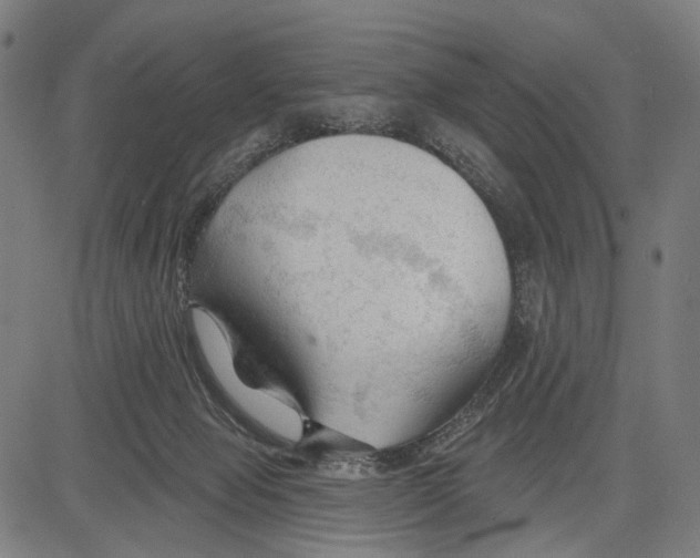 X0000083610077200703121613