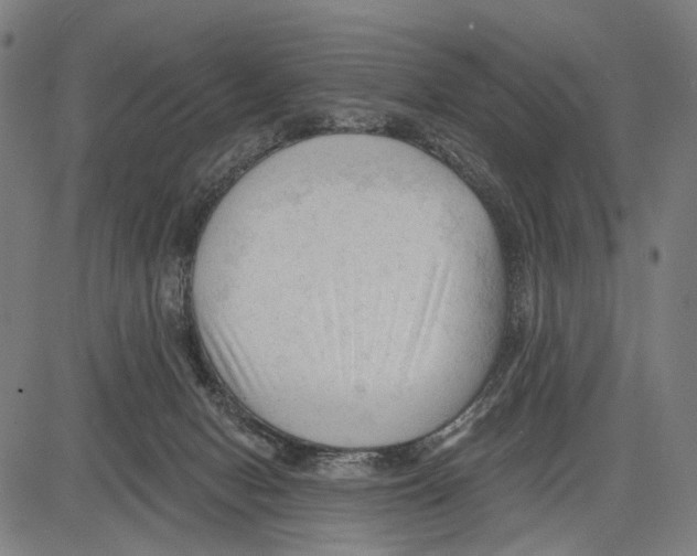 X0000083610078200703121613