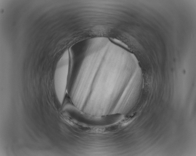 X0000083610080200703121613