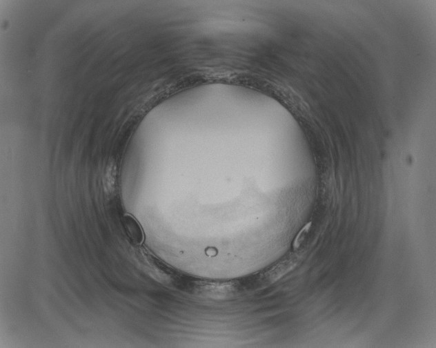 X0000083610081200703121613