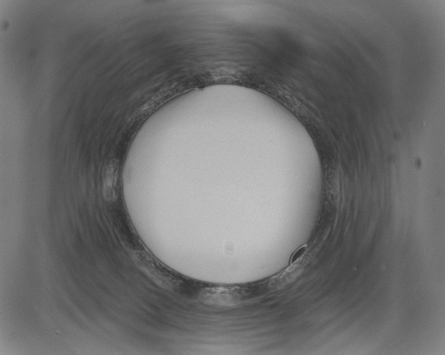 X0000083610082200703121613