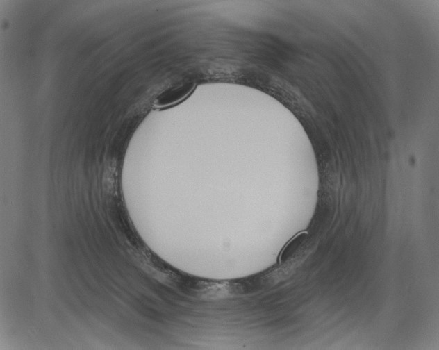 X0000083610083200703121613