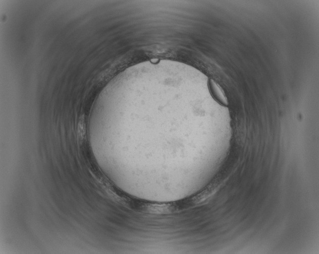 X0000083610085200703121613