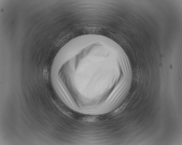 X0000083610086200703121613