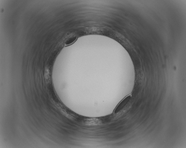 X0000083610087200703121613