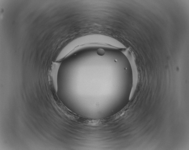 X0000083610088200703121613