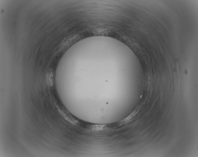 X0000083610090200703121614