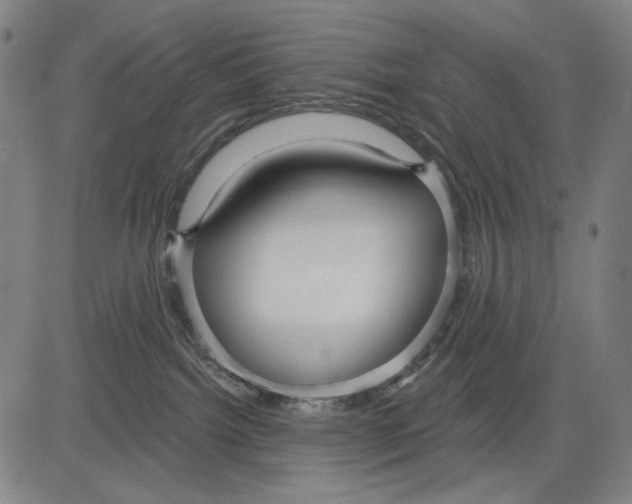 X0000083610092200703121614