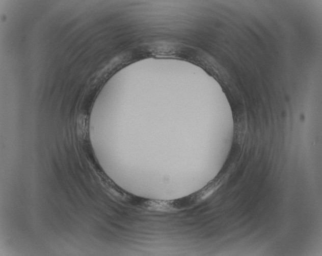 X0000083610093200703121614