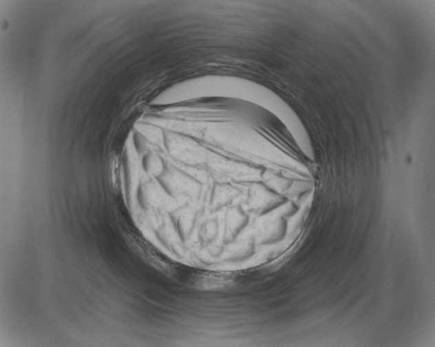 X0000083610094200703121614