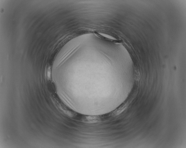 X0000083610095200703121614